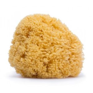 ESPONJA NATURAL SUAVINEX GRANDE